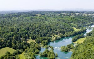 Mrežnica - 1