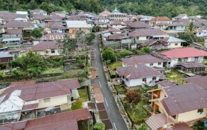 Branje i sušenje klinčića na otoku Tidore u Indoneziji - 4