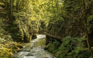 Kanjon Kamačnik, Gorski kotar