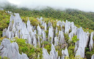 Nacionalni park Gunung Mulu