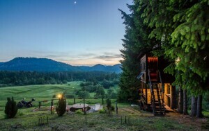 Tree House Gorski Lazi - 14