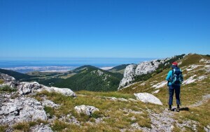 Novi kviz općeg znanja - 10