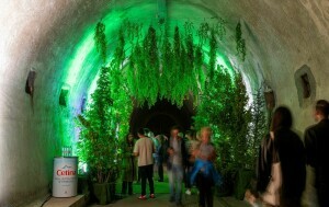 Najljepša priča iz prirode u tunelu Grič - 1