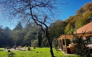 Holiday Home Forest Inn - 14