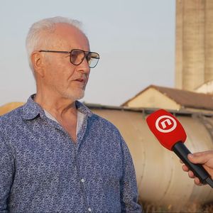 Mile Ilić