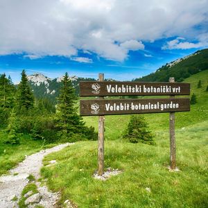 Sasvim poseban botanički vrt: Čitav Velebit u jednoj ponikvi