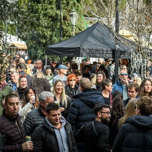 Badnjak, Šibenik - 12