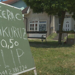 Od 50 centi do pet eura za klip: Urod šećerca odličan, ali cijene na moru i deset puta više