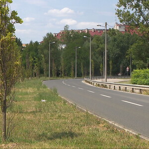 Alka Vuica - 2