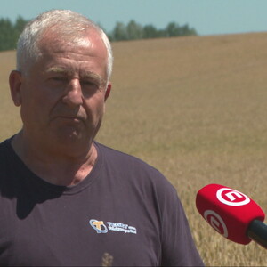 Mirko Laslo, ratar