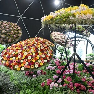 Floraart 2025.