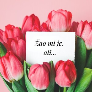 Ovo nije iskrena isprika