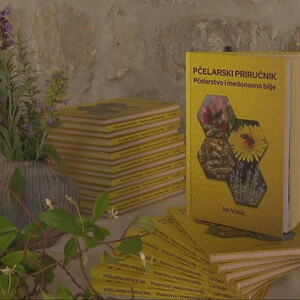 Pčelarski skup u Dubrovniku - 1