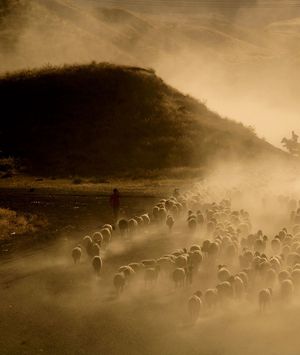 Turski pastiri u proljeće u Tatvanu - 2