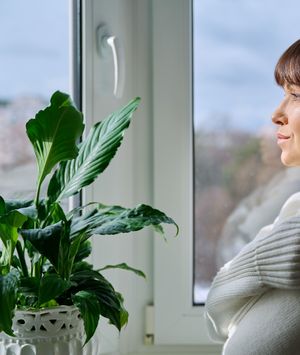 Prolazak kroz sve faze menopauze može olaškati i dobra informiranost