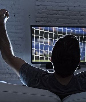 Dnevnik sportskog fanatika