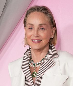 Sharon Stone u prugastom kompletu na događanju Fashion Trust U.S. Awards u Los Angelesu - 4