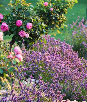 Travanjsko orezivanje je ključno