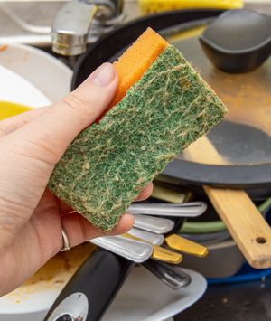 Spužvicu biste trebali mijenjati svakih sedam do 14 dana