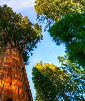 Kviz općeg znanja - 2