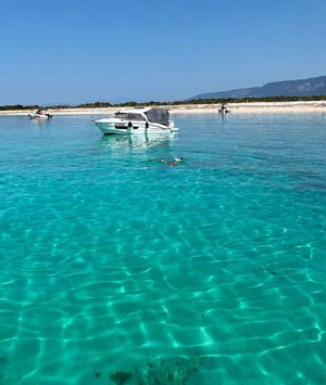 Otok Zeča