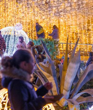 Advent na Kvarneru: zimska čarolija uz more, otoke i gore