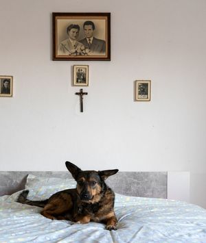 Luka Dubroja: The Gaze - 4