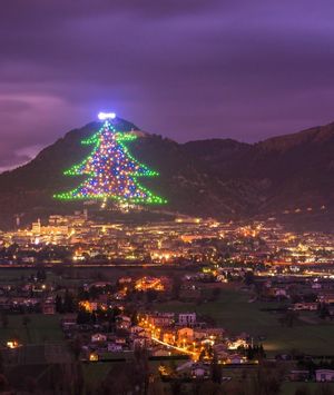 Najveće božićno drvce na svijetu - 3