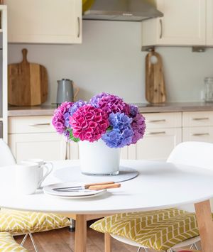 Pazite da ne upadnete u zamke tijekom uređenja