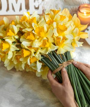 Što vas čeka u ožujku?