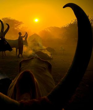 Jurica Galić Juka - 10