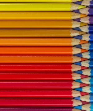 Novi kviz općeg znanja - 11