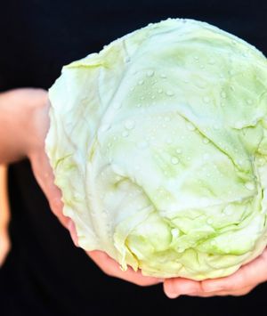 Kako pravilno oprati kupus