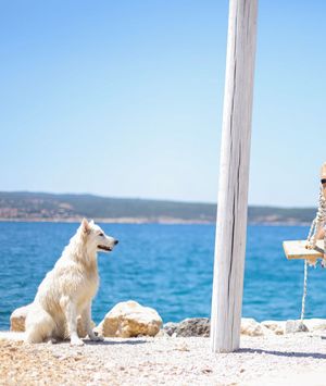 Pseće plaže - 3