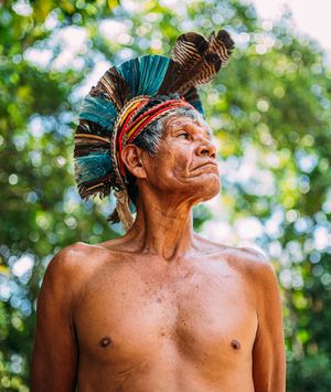 Amazona - 1