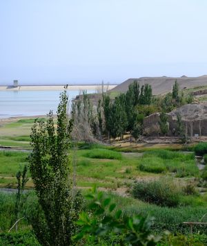 U zemlji Ujgura - 14