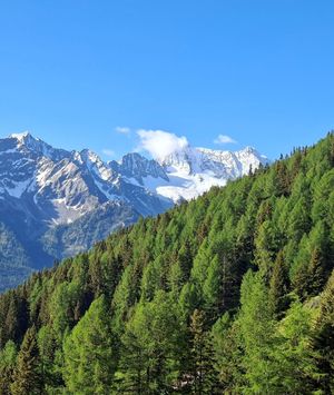 Highlander Italija - 14