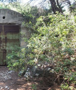 Mljet - 12