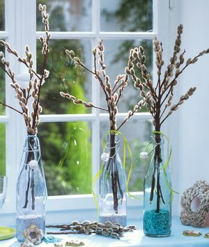 Cica mace u vazi su divan ukras doma