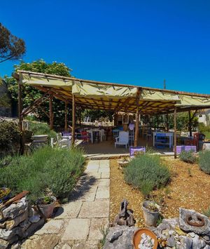 Miomirisni vrt Lošinj - 4