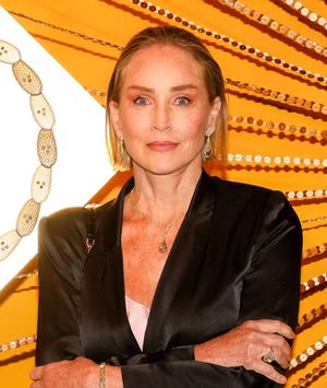 Sharon Stone u satenskom odijelu - 5