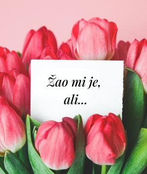 Ovako ne zvuči iskrena isprika