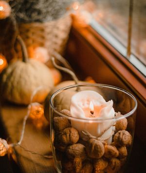 Što nam donosi studeni?