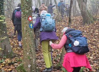 Camino Banovina - 23