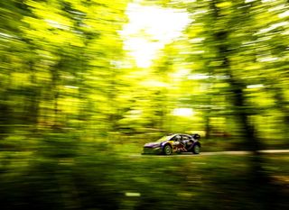 WRC Croatia Rally u Gorskom kotaru - 5