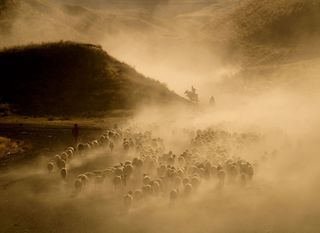 Turski pastiri u proljeće u Tatvanu - 2