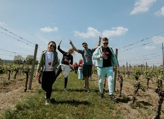 Ilok Wine&Walk 2025 - 3