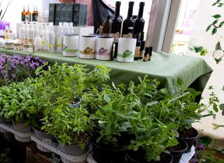 Festival samoniklog bilja - 3