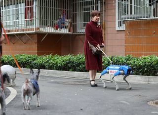 Robopsi za pomoć slabovidnim osobama u Chengduu u Kini - 3