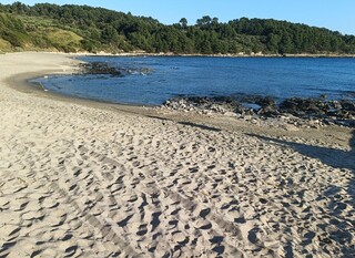 Plaža Pržina
